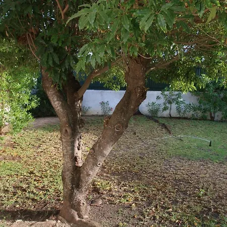 Вілла Jacaranda - 550m From The - Free Wifi - By Bedzy Албуфейра